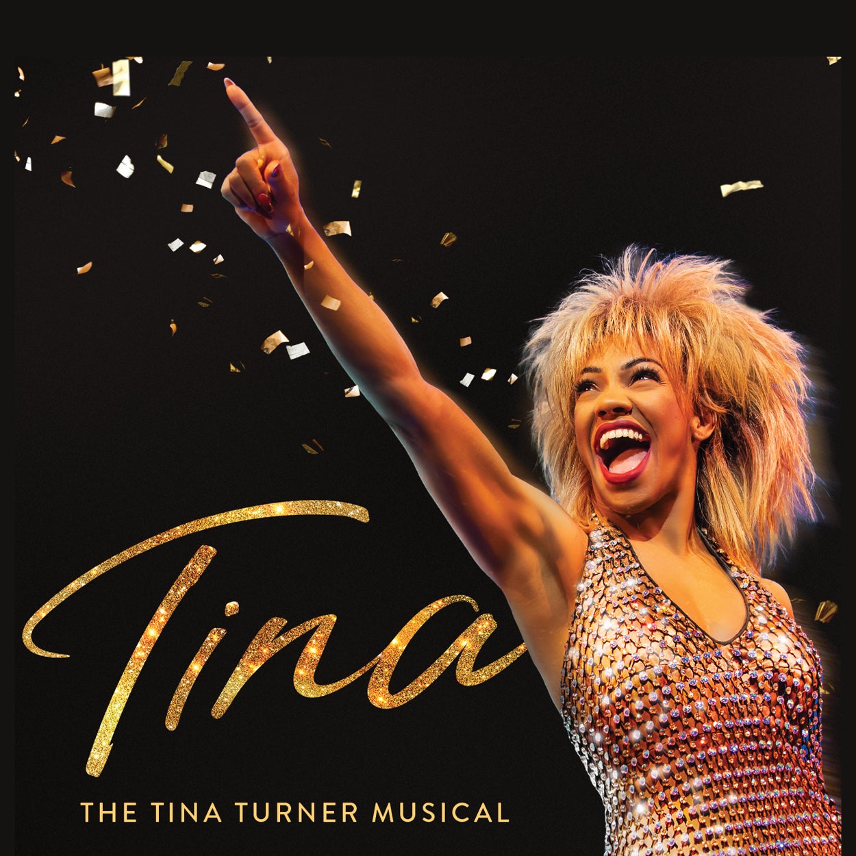 More Info for TINA - The Tina Turner Musical